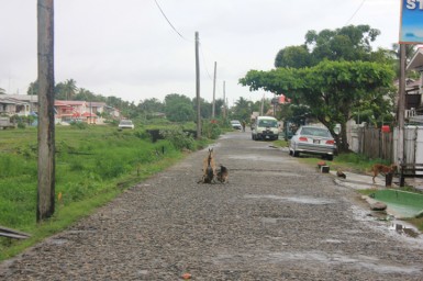 This mother of two feeds her kids in the middle of the road.