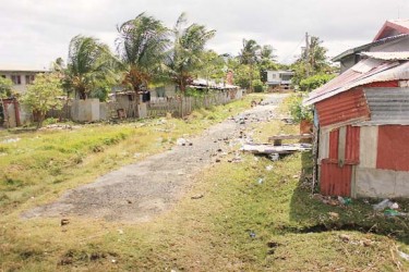 The aftermath of the flooding in Cornelia Ida, where the streets were littered with garbage. (Photo by Arian Browne)