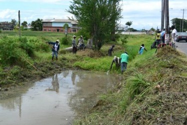 Clearing Thomas Lands weeds (GINA photo)