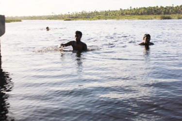 Three boys taking a cool afternoon swim in the black water separating the savannah from Canal No 2