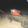 Fearless: The writer gets up close to the 11 foot, four inches black caiman.

