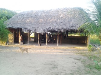 The Stephen’s home in Parishara. 