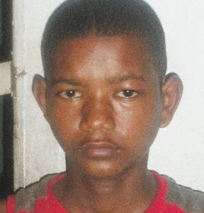 Fifteen-year-old John Gonsalves’ face remained swollen a day after he and his brother were attacked by Africanised bees.