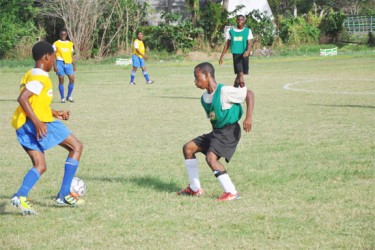 Action between Tucville Secondary and Tutorial high