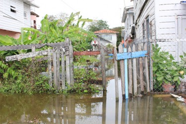  A flooded yard in Kingston yesterday 