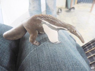 A balata anteater.  