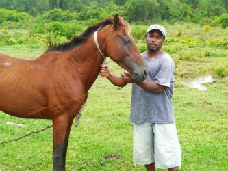 Everon Jhingoree with his horse, ‘Lil Man’