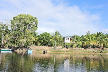 House at Baracara on the Canje River 