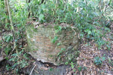 Dutch brick foundations in the Matara creek (Arian Browne photo)  