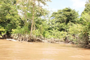 Dageraad as it looks nowadays. This was the Company plantation where the Dutch dug themselves in and where the two most important battles of the rising took place. (Arian Browne photo) 