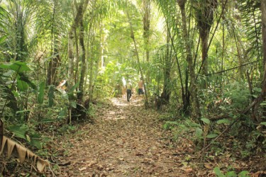 The pathway along the Fort Nassau site which was bricked in Coffy’s day (Arian Browne photo) 