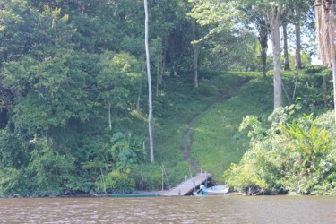 The slope up to Dubulay Ranch from the river. On March 3rd, 1763 the planters and their families made their way single file down a slightly steeper slope than this a little further upstream. (Arian Browne photo) 