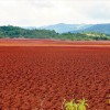 A red mud lake in Jamaica