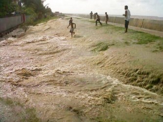 Seawater flooding into a drain along the Uitvlugt seawall as children scamper about