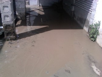 A yard in Cowan Street covered by thick mud