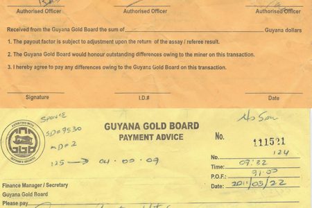 Guyana Gold Board payment orders produced by miners operating at Marudi Mountain after the GGMC claimed that none of them had declared a single gramme of gold and that there were no records of production. (Names of the miners have been hidden for their protection)
