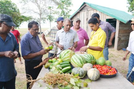 Ministers of Agriculture, Dr Leslie Ramsammy and Alli Baksh viewing some of the items produced on the Santa Fe integrated mega farm in Region Nine (GINA photo)