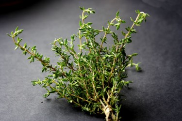 The “foreign” Thyme (Photo by Cynthia Nelson)
