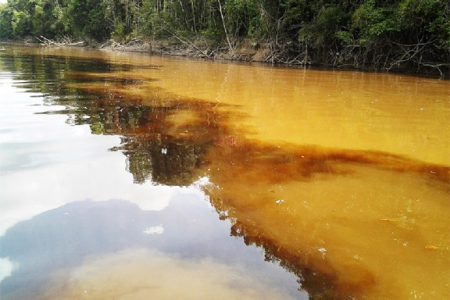The yellow sediment-filled waters of the Mazaruni River meeting the clear, dark waters of the Kako River. (Photo by Gaulbert Sutherland)