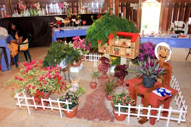 This large ground display of plants of an area not exceeding 8 ft x 8 ft was done by Arlene Ross during the Horticultural Society of Guyana’s 2013 Horticultural Show at the Umana Yana yesterday (Photo by Arian Browne) 