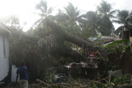 A side view of the house showing where the massive tree landed.
