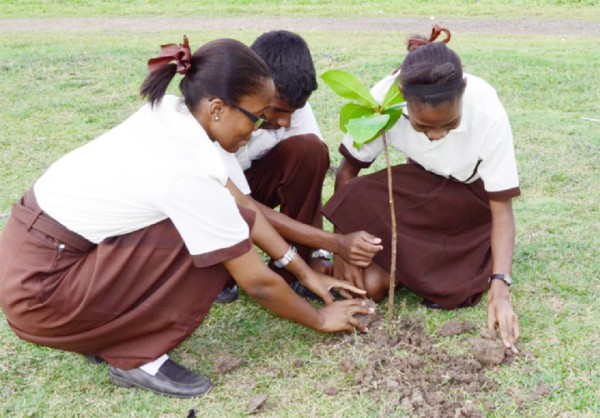Tutorial High School students plant an almond tree in the Botanical Gardens as part of a tree planting exercise held last Friday to mark World Day of Forests (Government Information Agency photo)