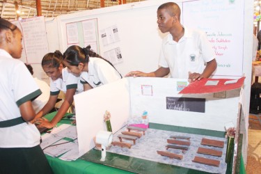 Students of St.Rose’s High and their project ‘Proper ventilation enhances learning’
