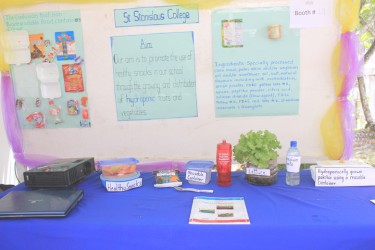 St.Stanislaus College project ‘The use of STEM to promote healthy eating among students’
