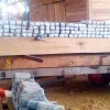 Some of the parcels of cocaine that were found in hollowed out timber logs which were being prepared for shipment to The Netherlands. They indicate meticulous preparation.
