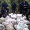 Police officers stand guard over a large quantity of marijuana which was confiscated in the Sangre Grande forest on Friday.  (Trinidad Express photo)