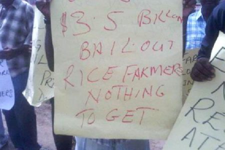 Rice Farmers are frustrated that the 2013 budget includes no subvention for industry
