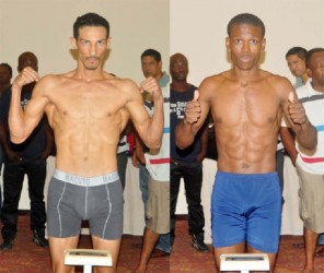 LET”S GET IT ON! Venezuelan knockout artist, Raphael ‘El Potro’ Hernandez and local pound for pound king, Clive ‘The Punisher’ Atwell displayed their chiseled physiques at last night’s weigh in at the Princess Hotel ahead of their WBC CABOFE featherweight bout tonight .  Atwell and Hernandez will headline the mega event dubbed ‘Fire Storm’. (Orlando Charles photo). 