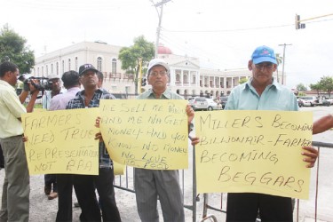 Essequibo rice farmers protesting outside Parliament yesterday (Photo by Arian Browne)