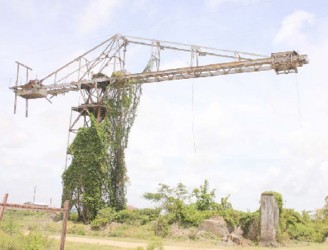 A lift that was once used in the Leonora Sugar Estate