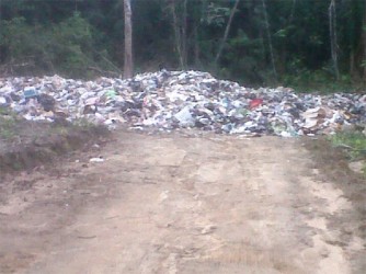 Garbage at the incomplete landfill site at Bartica 