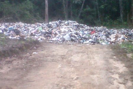 Garbage at the incomplete landfill site at Bartica
