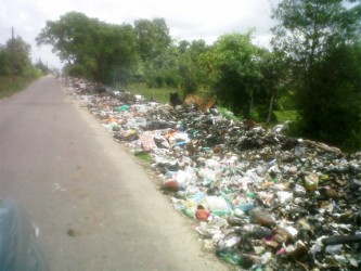 The old garbage dump at Second Avenue, Bartica 