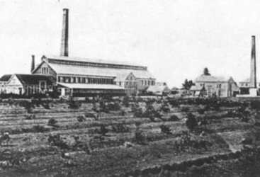 Chateau Margot factory, 19th century