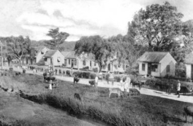 Roadside on a sugar estate circa 1890