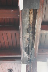 A rotten beam in the concert hall at City Hall 