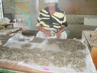 A fish vendor at the New Amsterdam Market selling “Black Shrimp” 