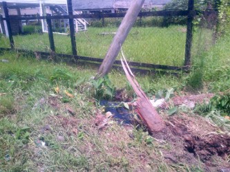 The getaway car ploughed into this utility pole near ‘Last Entrance’, North Ruimveldt.