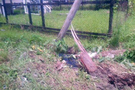 The getaway car ploughed into this utility pole near ‘Last Entrance’, North Ruimveldt.