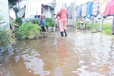 ‘Aunty Ann’ Bowman walks though the water to her house. 