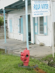 One of the non-operable pillar hydrants in New Amsterdam