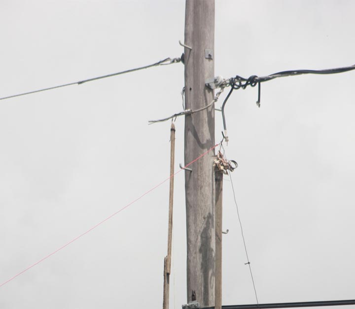The hook seen here is used to remove the illegally connected wire on this utility pole. 