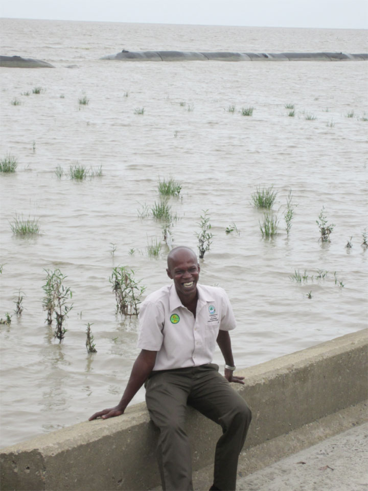 Guyana Mangrove Restoration Project ranger Raymond Hinds is proud of the success of the experimental breakwater-geotextile tubing responsible for saving the black mangrove and Spartina grass plants behind him. 