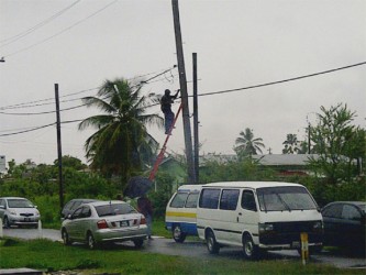 A GPL employee disconnecting illegal wires from an electricity pole in North Sophia 