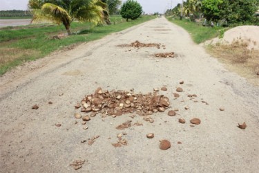 Residents of Maria’s Pleasure use coconut shells to fill up pot holes in an effort to reduce some of the damage caused to their cars, buses and motorcycles 