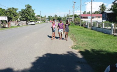 Taking a Sunday afternoon stroll along the main highway